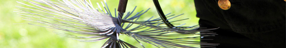 Banner - René Görner